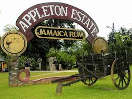 Appleton Estate Rum Tour From Montego Bay