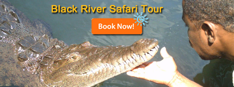 Black River Safari Tours Jamaica