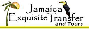 Private Airport Transfers, Montego Bay Airport Transfers, Jamaica Airport Transfers, Taxi and Tours, Airport Transfers, Transportation Service To Montego Bay, Ocho Rios, Negril, Lucea, Runaway Bay, www.jamaicaexquisitetours.com, info@jamaicaexquisitetours.com